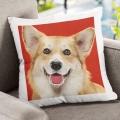 Poduszka z corgi