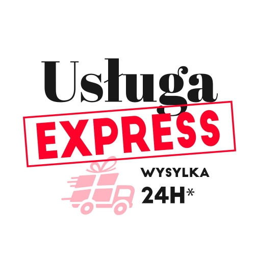 USLUGA_EKSPRES.jpg