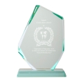 Statuetka Szklana Dla Dentysty - Trofeum Szklane Podziękowanie dla Dentysty - Duża