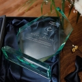 Statuetka Szklana Dla Informatyka - Trofeum Szklane dla Informatyka